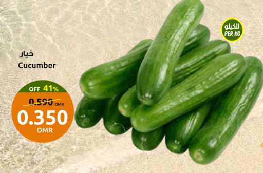 Cucumber available at Sultan Center  in Oman - Sohar