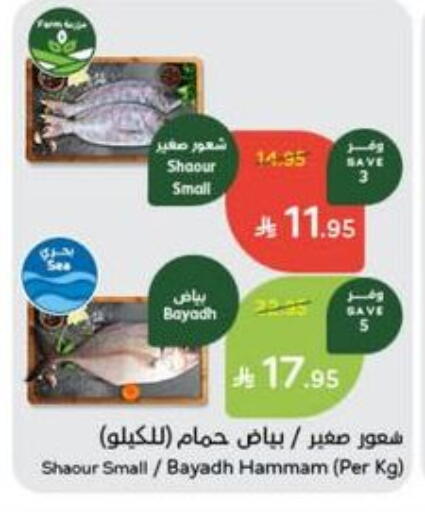 available at هايبر بنده in مملكة العربية السعودية, السعودية, سعودية - الطائف