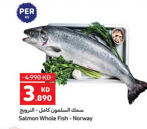 available at كارفور in الكويت - محافظة الجهراء