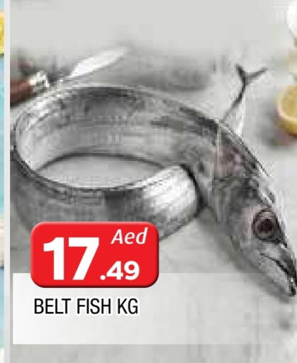 available at المدينة in الإمارات العربية المتحدة , الامارات - الشارقة / عجمان