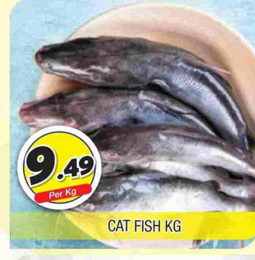 available at المدينة in الإمارات العربية المتحدة , الامارات - الشارقة / عجمان