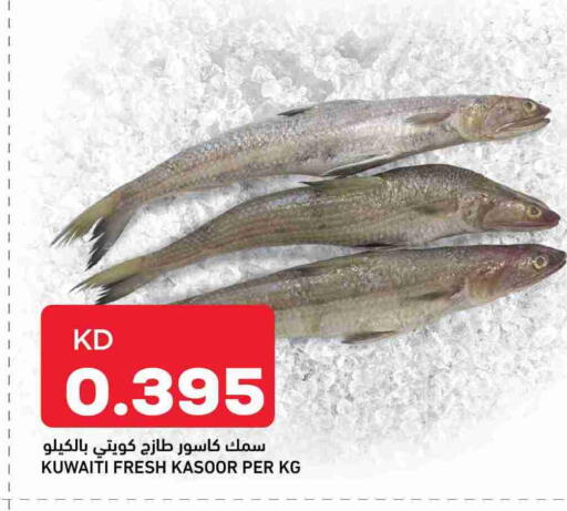 available at أونكوست in الكويت - محافظة الأحمدي