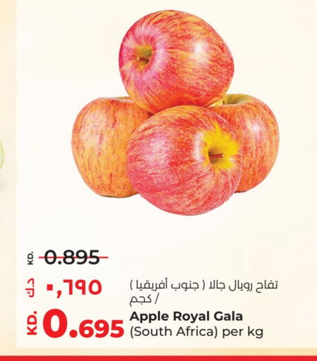 تفاح from South Africa available at لولو هايبر ماركت in الكويت - محافظة الأحمدي