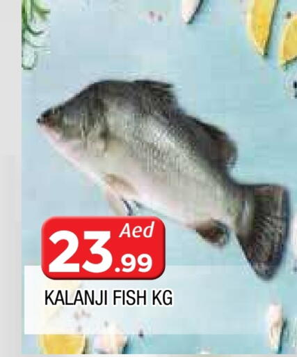 available at المدينة in الإمارات العربية المتحدة , الامارات - الشارقة / عجمان