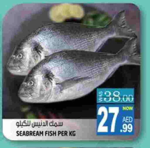 available at هاشم هايبرماركت in الإمارات العربية المتحدة , الامارات - الشارقة / عجمان