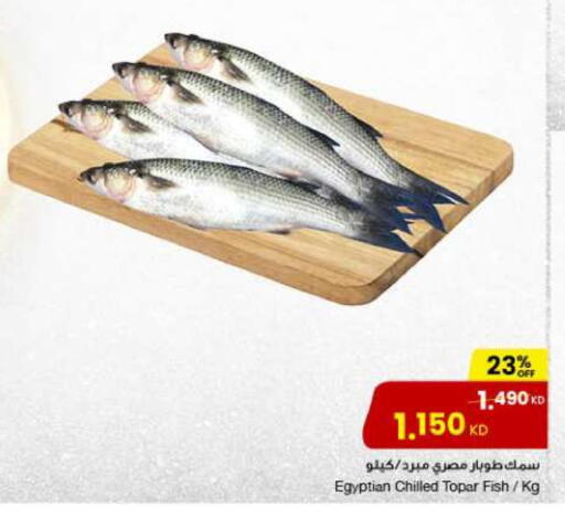 available at مركز سلطان in الكويت - محافظة الجهراء
