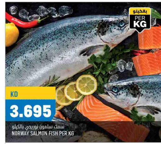 available at أونكوست in الكويت - محافظة الجهراء