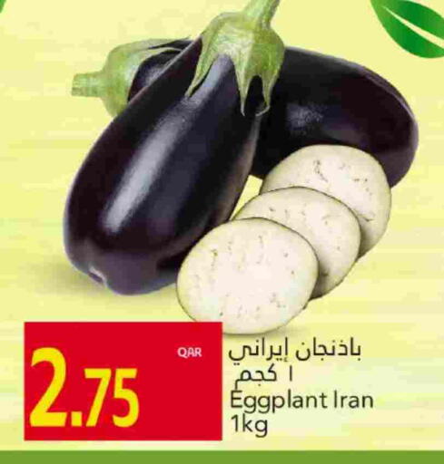 Eggplant from Iran available at جلف فود سنتر in قطر - الشحانية