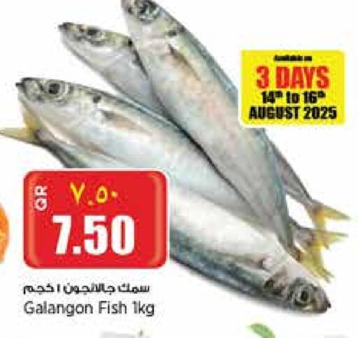 available at ريتيل مارت in قطر - الدوحة
