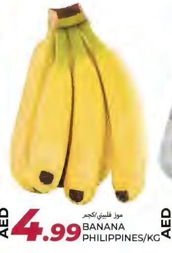 Banana available at  روابي ماركت عجمان in الإمارات العربية المتحدة , الامارات - الشارقة / عجمان