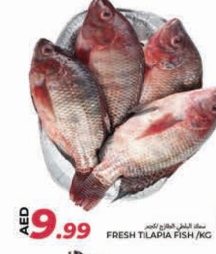available at  روابي ماركت عجمان in الإمارات العربية المتحدة , الامارات - الشارقة / عجمان