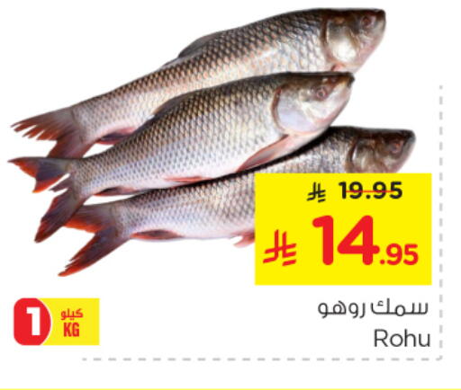 available at Nesto in KSA, Saudi Arabia, Saudi - Riyadh