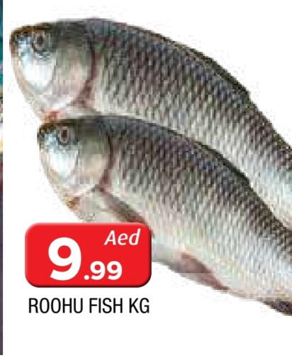available at المدينة in الإمارات العربية المتحدة , الامارات - الشارقة / عجمان