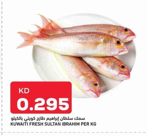 available at أونكوست in الكويت - محافظة الجهراء