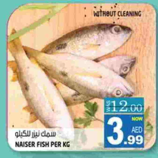 available at هاشم هايبرماركت in الإمارات العربية المتحدة , الامارات - الشارقة / عجمان