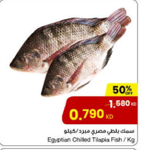 available at مركز سلطان in الكويت - محافظة الجهراء