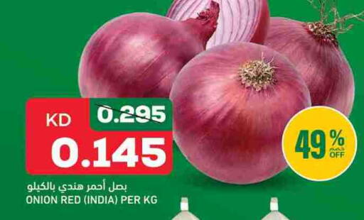 Onion from India available at غلف مارت in الكويت - محافظة الجهراء