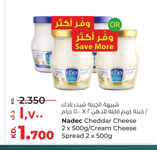 نادك جبنة الشيدر available at لولو هايبر ماركت in الكويت - محافظة الأحمدي