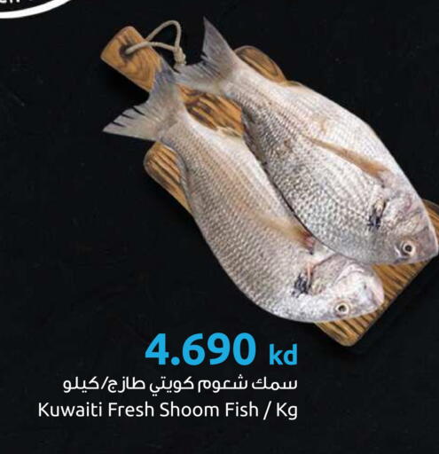 available at مركز سلطان in الكويت - محافظة الأحمدي