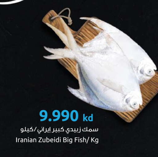 available at مركز سلطان in الكويت - محافظة الأحمدي