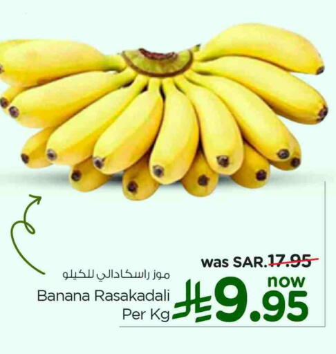 موز available at نستو in مملكة العربية السعودية, السعودية, سعودية - الخبر‎