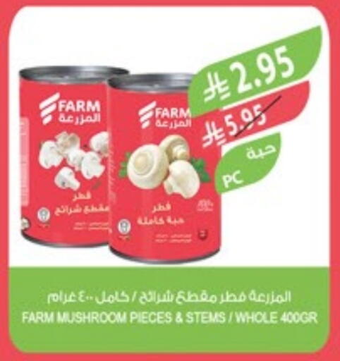 Mushroom available at Farm  in KSA, Saudi Arabia, Saudi - Sakaka