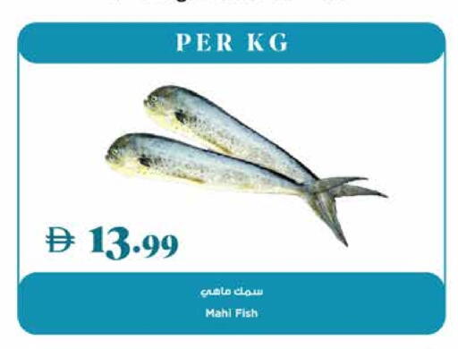 available at تروليز سوبرماركت in الإمارات العربية المتحدة , الامارات - الشارقة / عجمان
