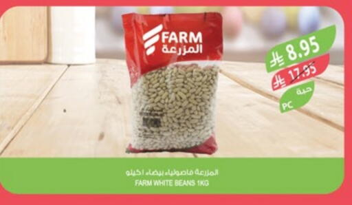 available at Farm  in KSA, Saudi Arabia, Saudi - Al-Kharj