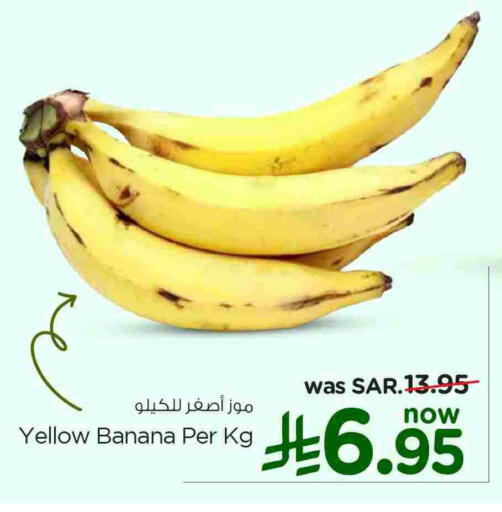 موز available at نستو in مملكة العربية السعودية, السعودية, سعودية - الخبر‎