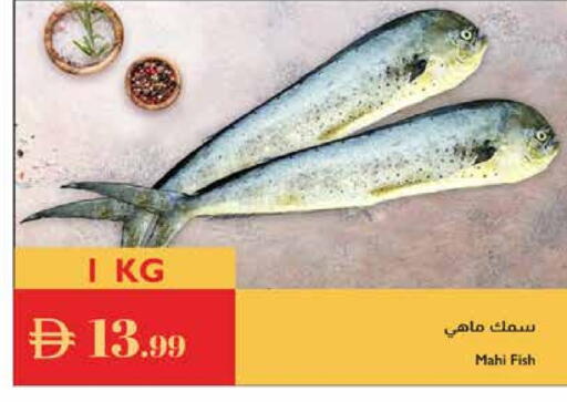 available at إسطنبول سوبرماركت in الإمارات العربية المتحدة , الامارات - الشارقة / عجمان