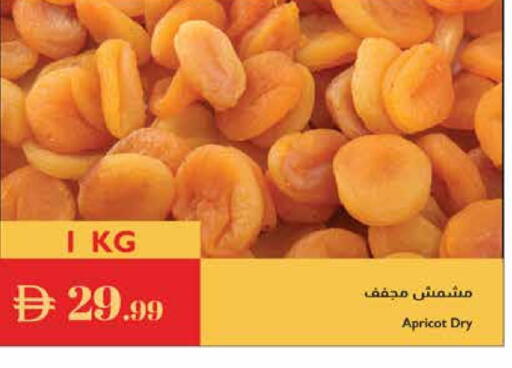 Apricot available at إسطنبول سوبرماركت in الإمارات العربية المتحدة , الامارات - دبي