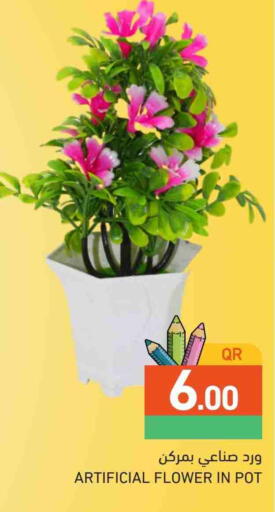 available at Aswaq Ramez in Qatar - Doha