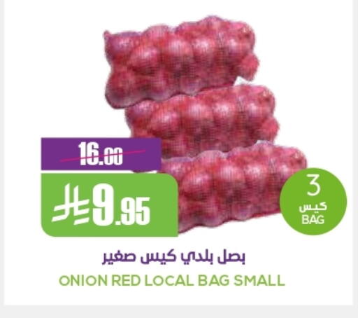 Onion available at Sapt in KSA, Saudi Arabia, Saudi - Buraidah