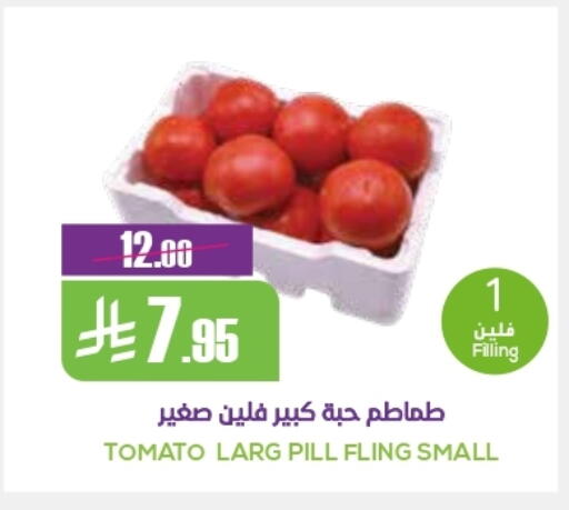 Tomato available at Sapt in KSA, Saudi Arabia, Saudi - Buraidah