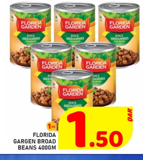 فول available at باشن هايبر ماركت in قطر - الضعاين