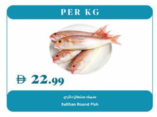 available at تروليز سوبرماركت in الإمارات العربية المتحدة , الامارات - الشارقة / عجمان