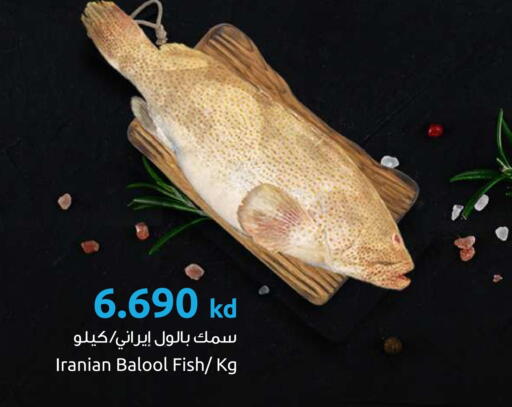 available at مركز سلطان in الكويت - محافظة الأحمدي