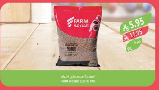 available at Farm  in KSA, Saudi Arabia, Saudi - Al-Kharj