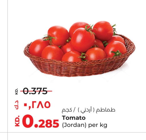 Tomato from Jordan available at Lulu Hypermarket  in Kuwait - Kuwait City