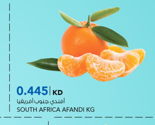 Orange from South Africa available at Al Nasser Hypermarket in Kuwait - Ahmadi Governorate