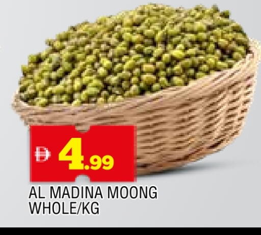 available at المدينة in الإمارات العربية المتحدة , الامارات - الشارقة / عجمان