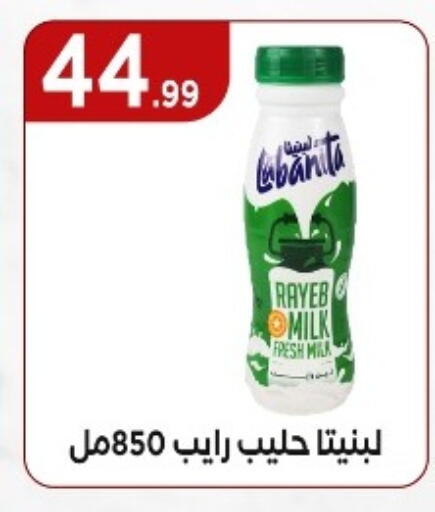 Fresh Milk available at MartVille in Egypt - Cairo