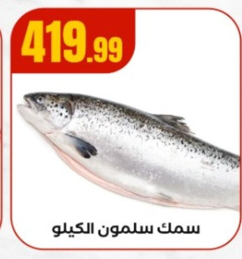 available at MartVille in Egypt - Cairo
