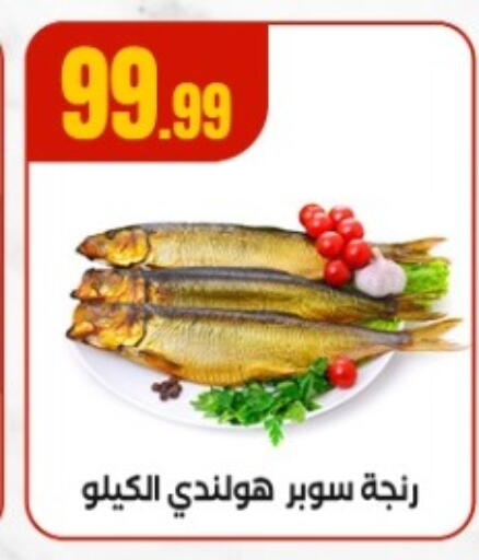 available at مارت فيل in Egypt - القاهرة