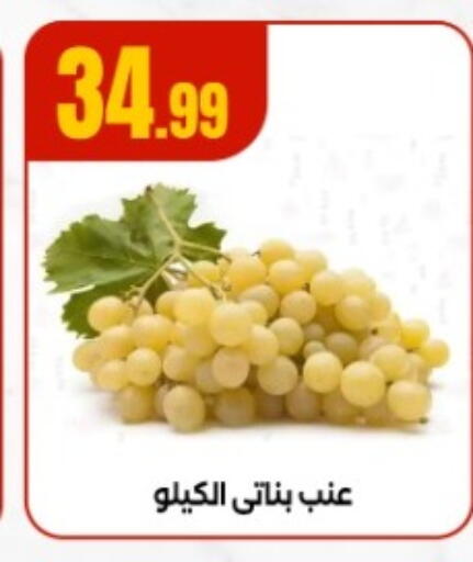 available at المحلاوي ستورز in Egypt - القاهرة