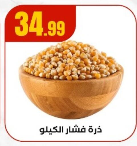 available at المحلاوي ستورز in Egypt - القاهرة