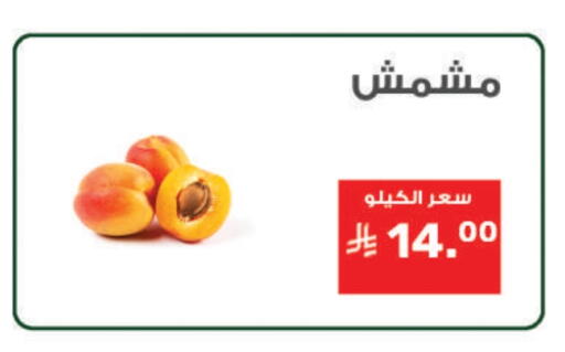 available at Al Rasheed Markets in KSA, Saudi Arabia, Saudi - Riyadh