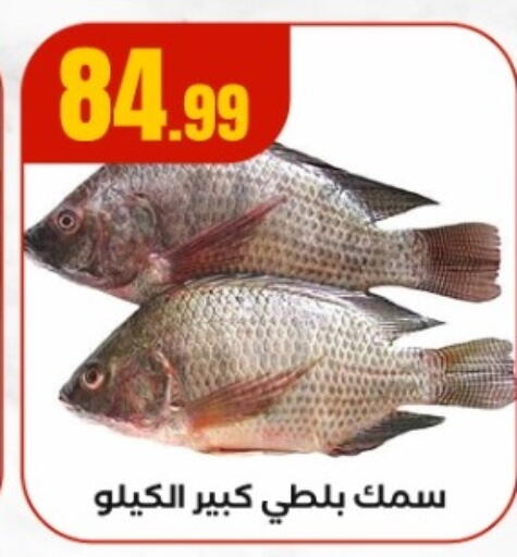 available at MartVille in Egypt - Cairo