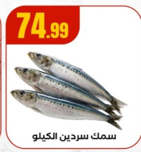 available at MartVille in Egypt - Cairo