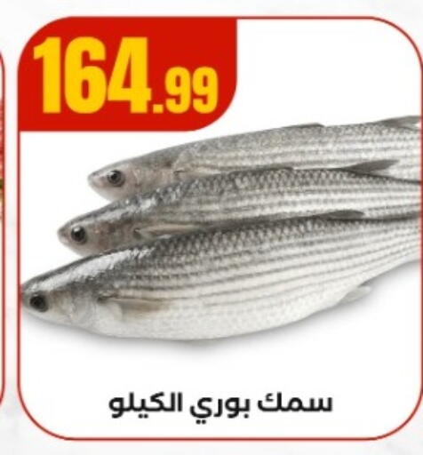 available at MartVille in Egypt - Cairo
